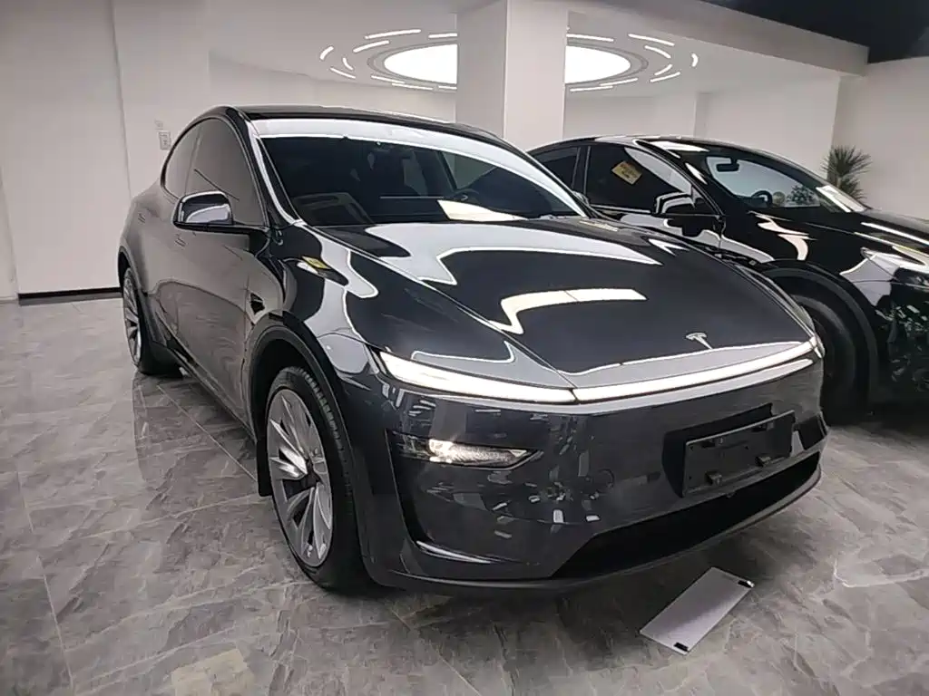 Tesla Model Y — миниатюра 4