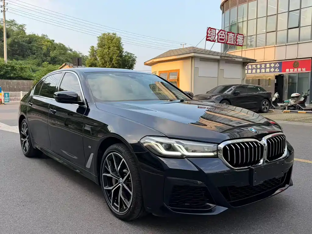 BMW 5 Series — миниатюра 3