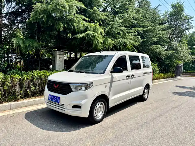 2019 Wuling Motors Hongguang