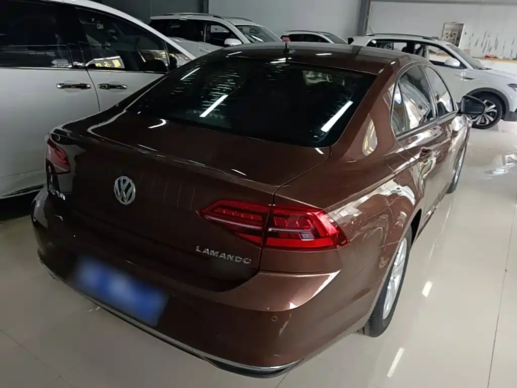 Volkswagen Lamando — миниатюра 7