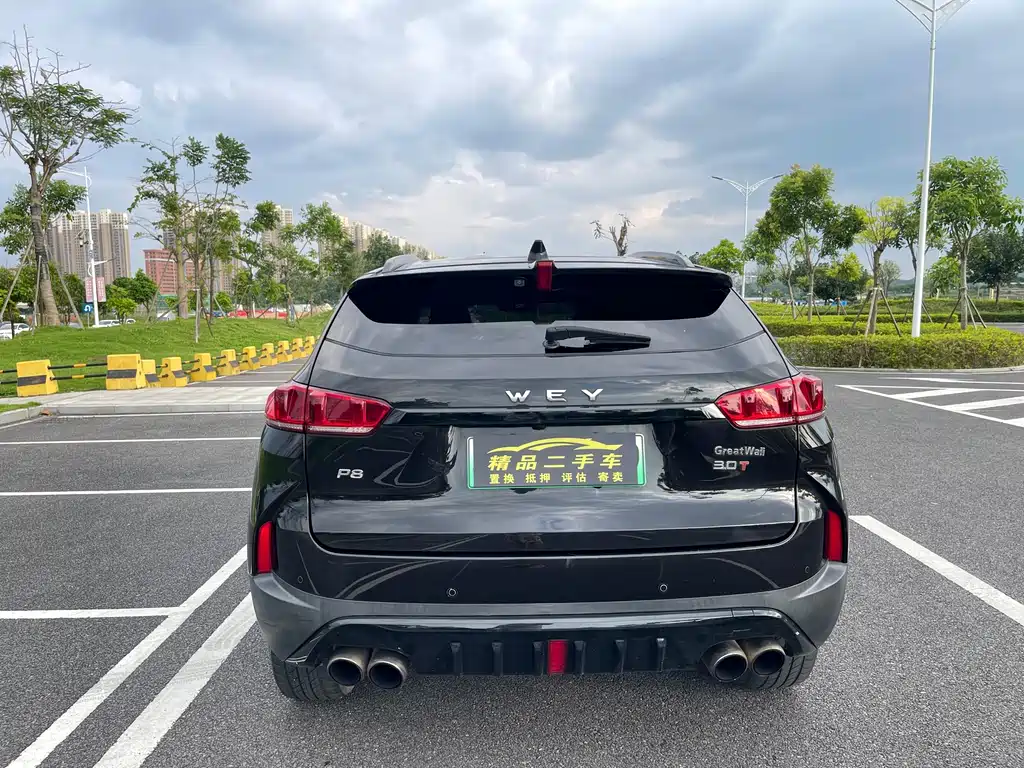 Wey Wey P8 — миниатюра 10