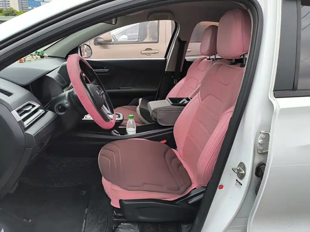 BYD e2 — миниатюра 15