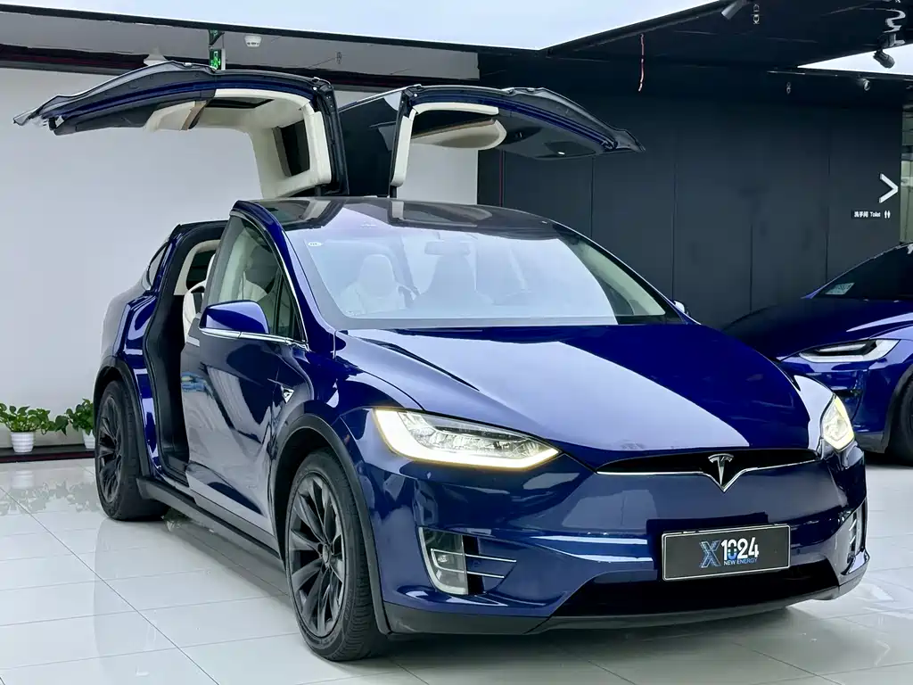 Tesla Model X — миниатюра 3