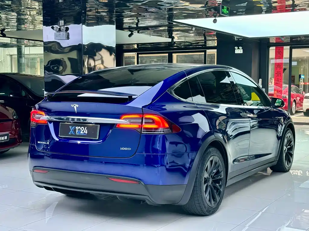Tesla Model X — миниатюра 4