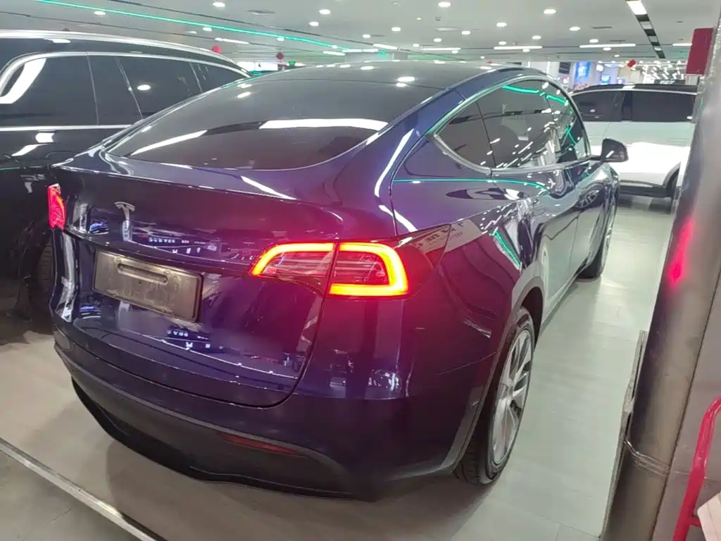 Tesla Model Y — миниатюра 7