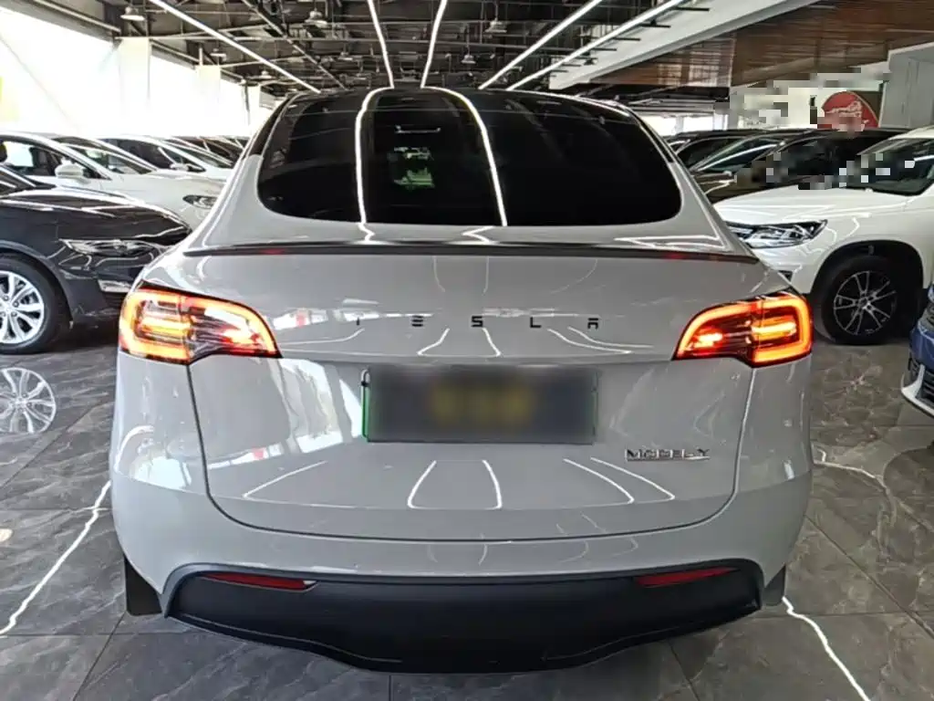 Tesla Model Y — миниатюра 6