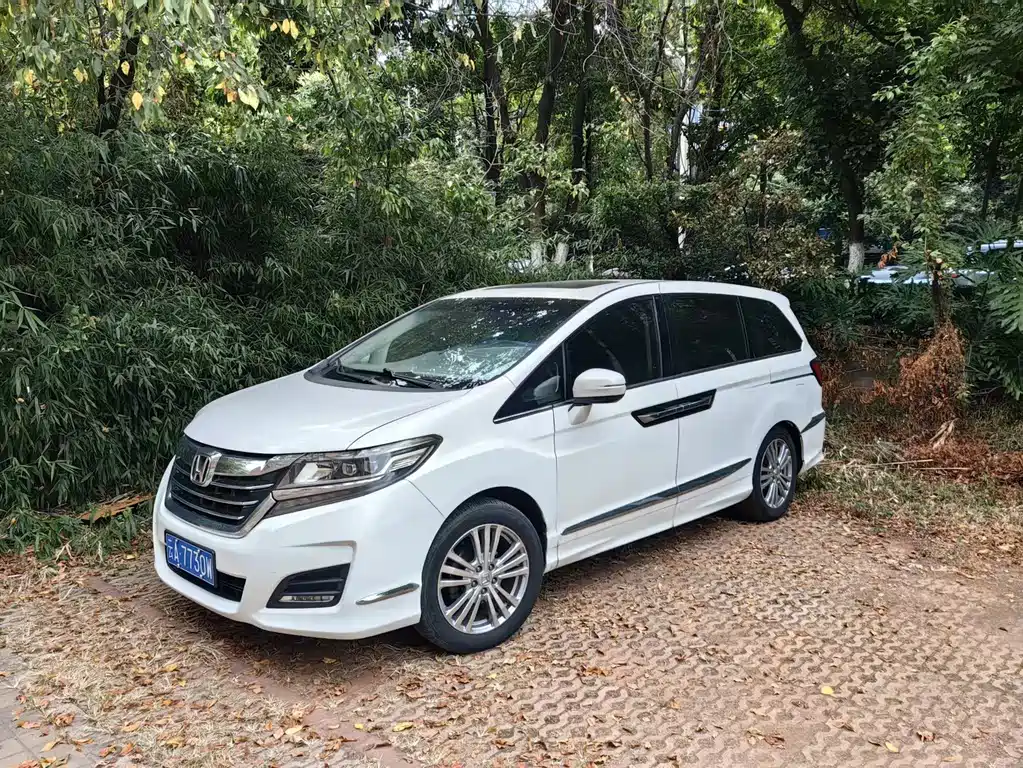 Honda Elysion — миниатюра 2