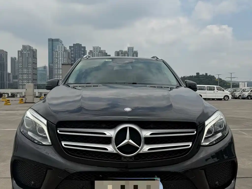 Mercedes-Benz 奔驰GLE(进口) 2016