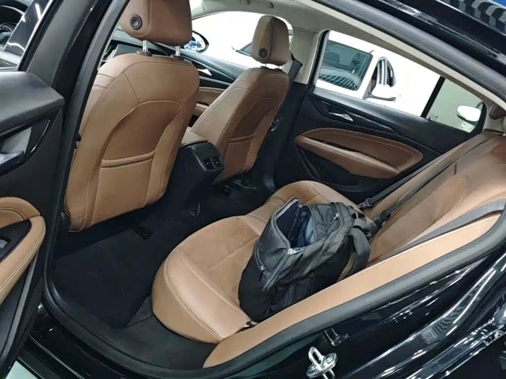 Buick Regal — миниатюра 17