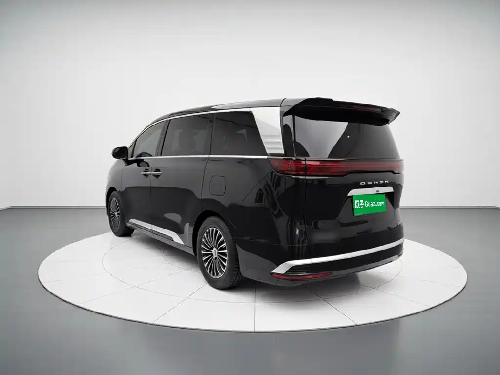Denza Denza D9 — миниатюра 4