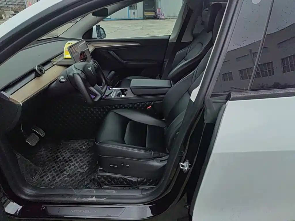 Tesla Model Y — миниатюра 15