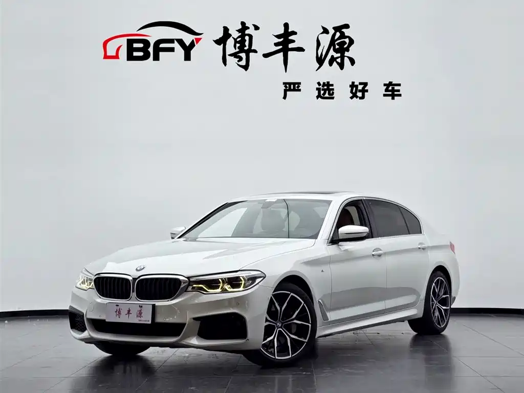 BMW 5 Series 2019