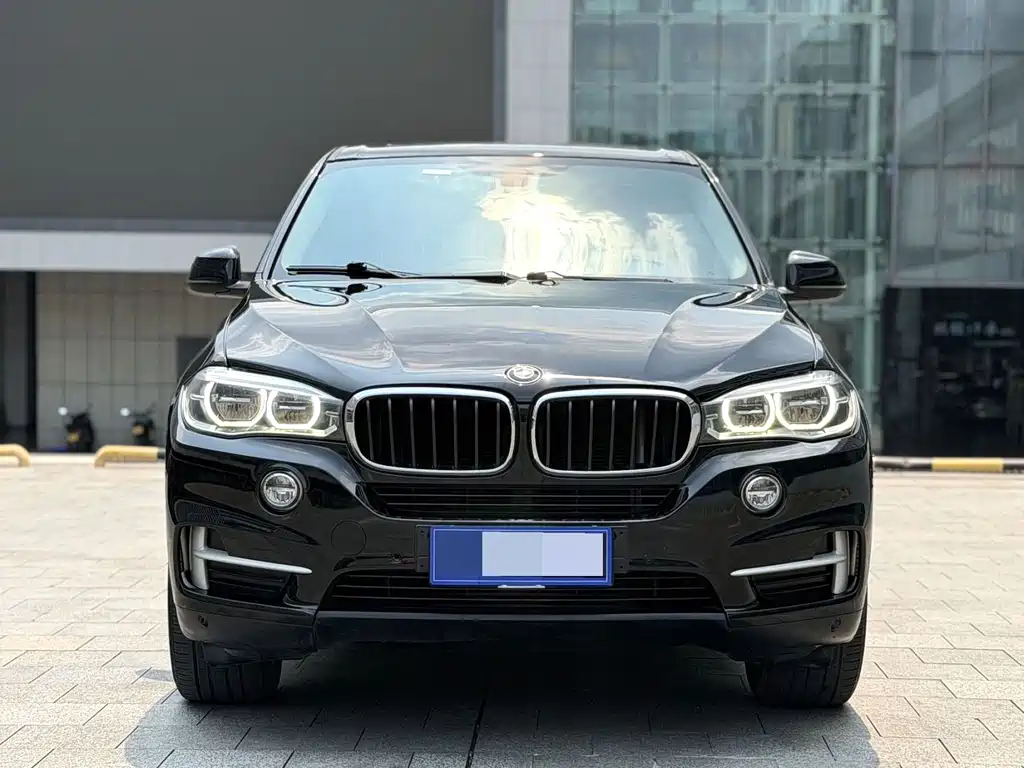 BMW X5 (Import) — миниатюра 2