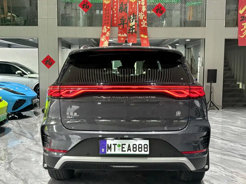 BYD Tang New Energy — миниатюра 33