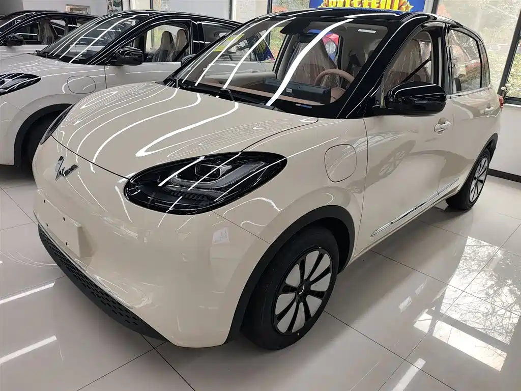 Wuling Binguo 2025 333km Enjoy