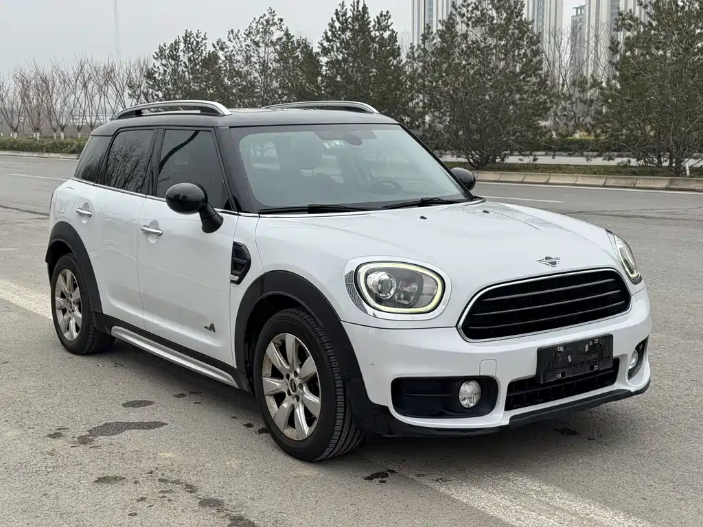 Mini Mini Countryman 2019