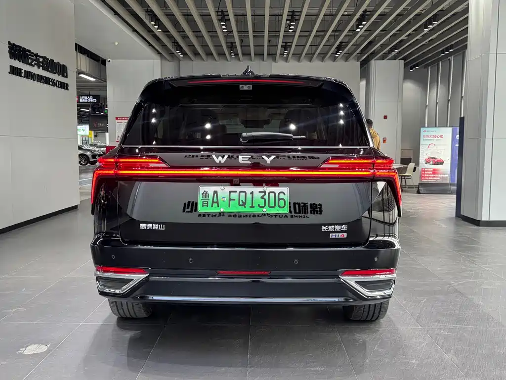 WEI PAI WEI BRAND BLUE MOUNTAIN