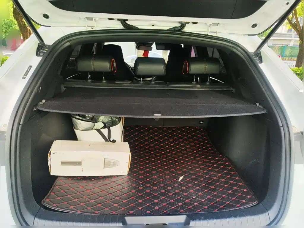 BYD PLUS — миниатюра 15