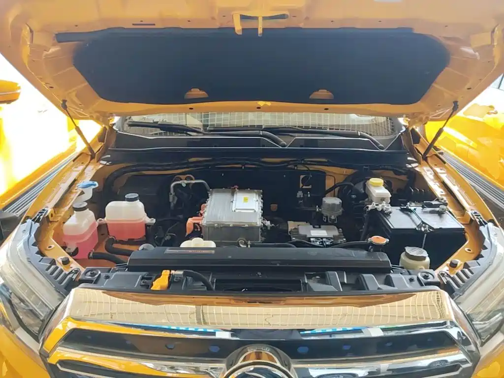 Dongfeng Rich 6 New Energy — миниатюра 20