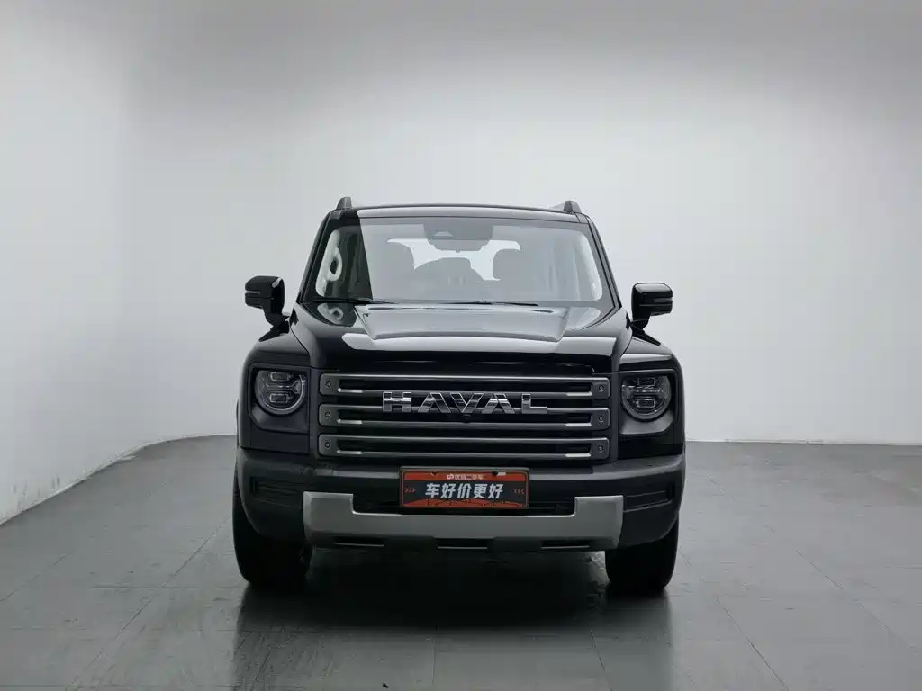 Haval Menglong New Energy — миниатюра 3