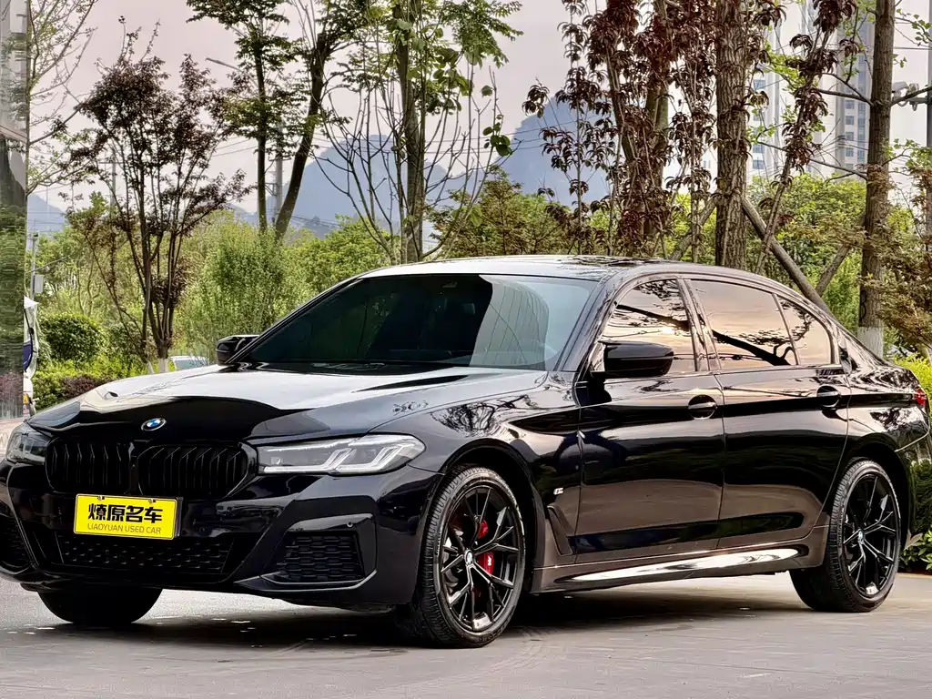 BMW 5 Series 2022
