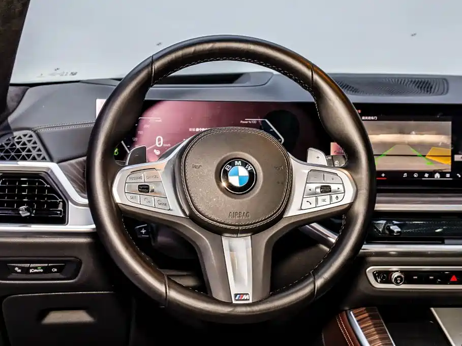 BMW X5 — миниатюра 24