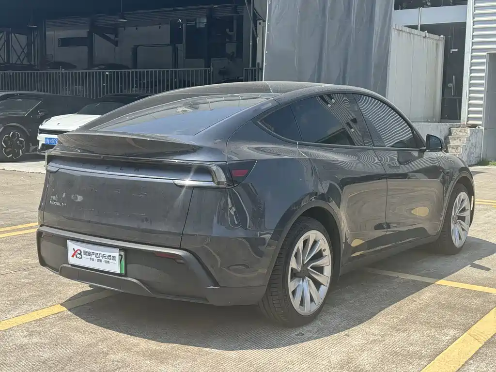 Tesla Model Y — миниатюра 7