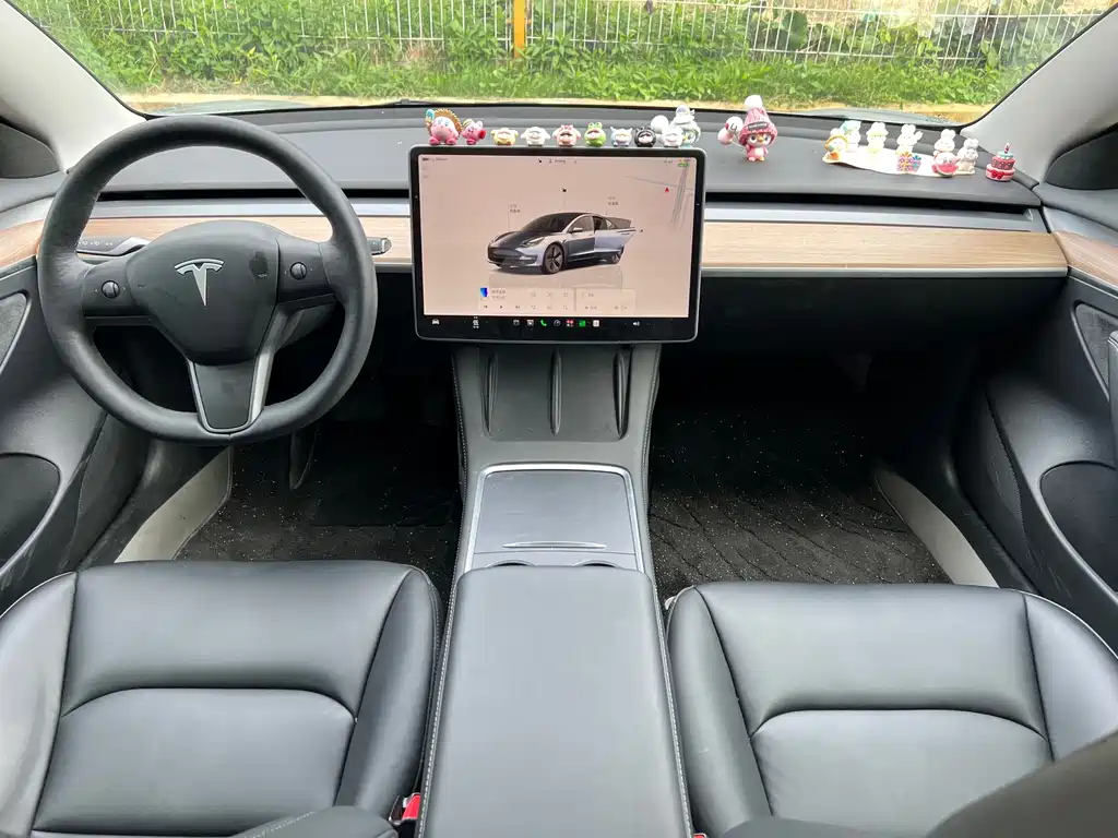 Tesla Model 3 — миниатюра 5