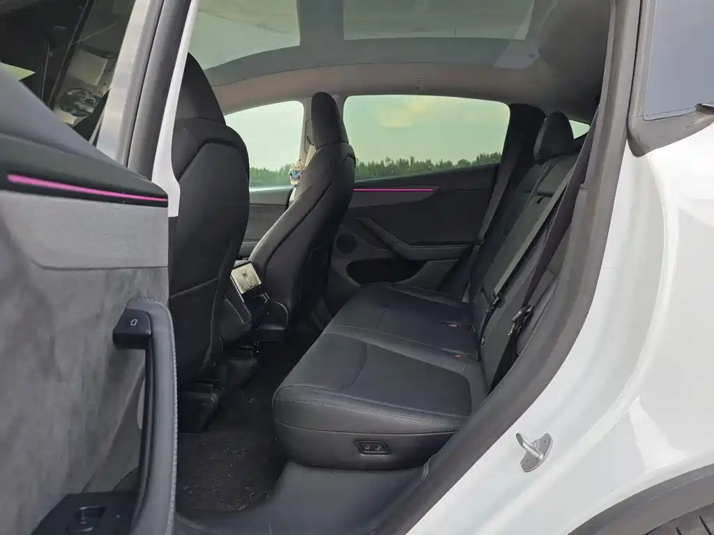 Tesla Model Y — миниатюра 5