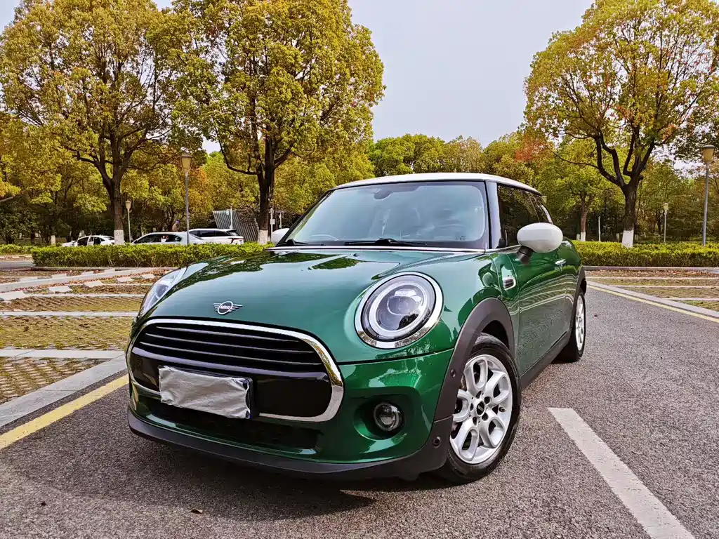Mini Mini 2020