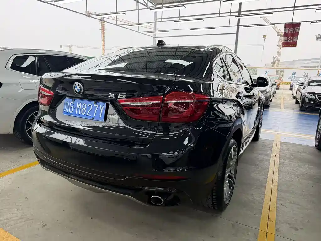 BMW X6 — миниатюра 15
