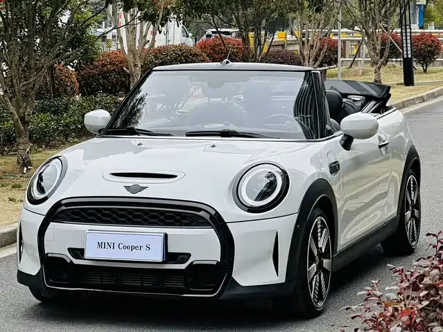 MINI 