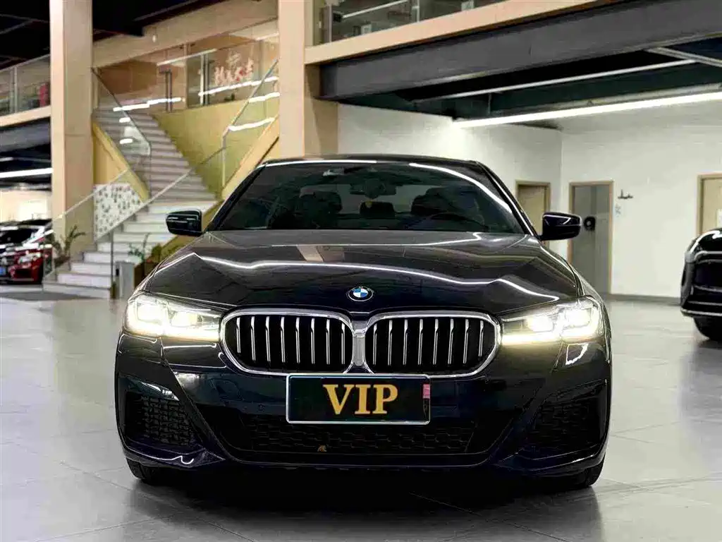 BMW 5 Series — миниатюра 5