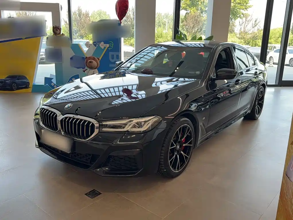 BMW 5 Series (Import) — миниатюра 2