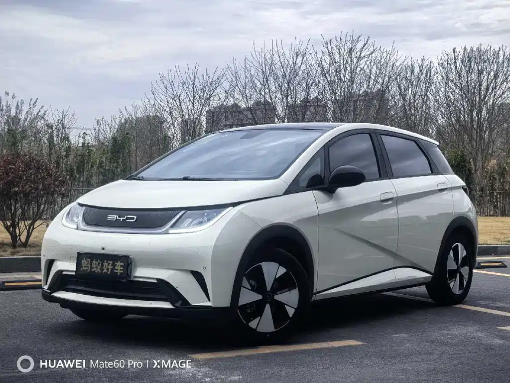 Byd Dolphin 2024
