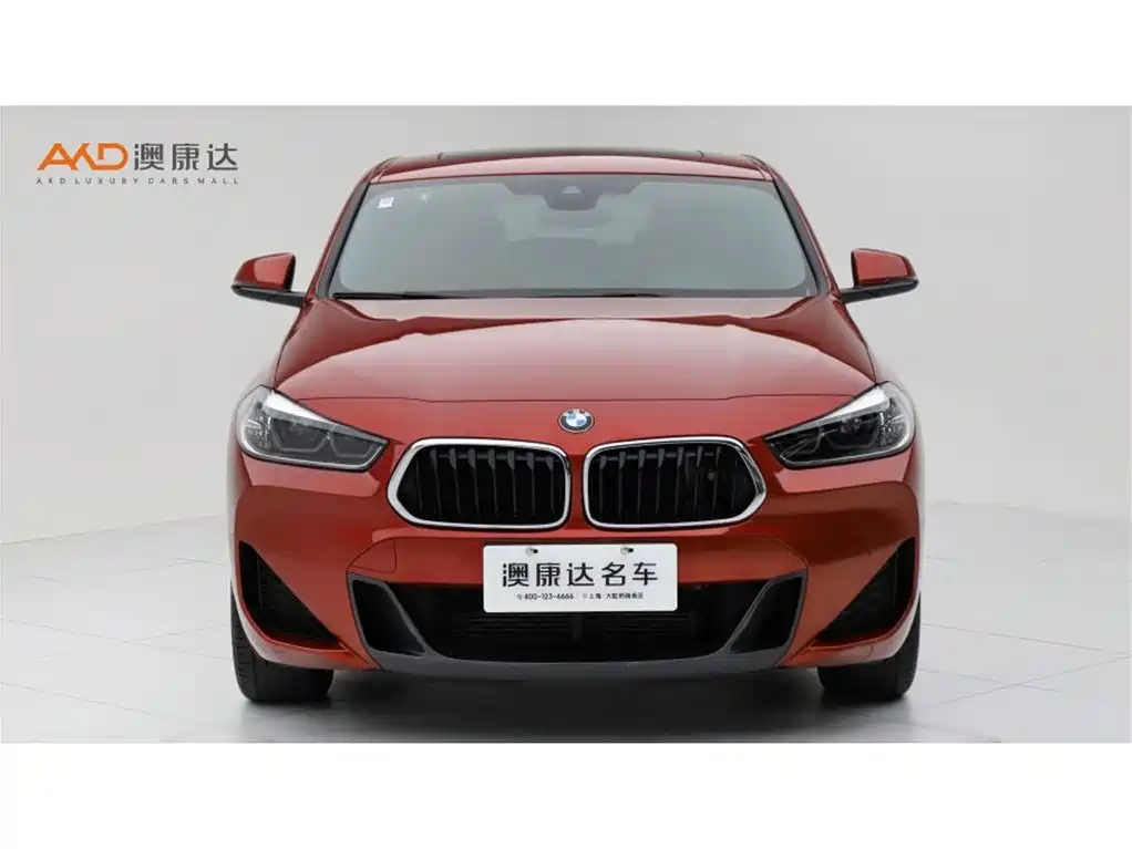 BMW X2 — миниатюра 2