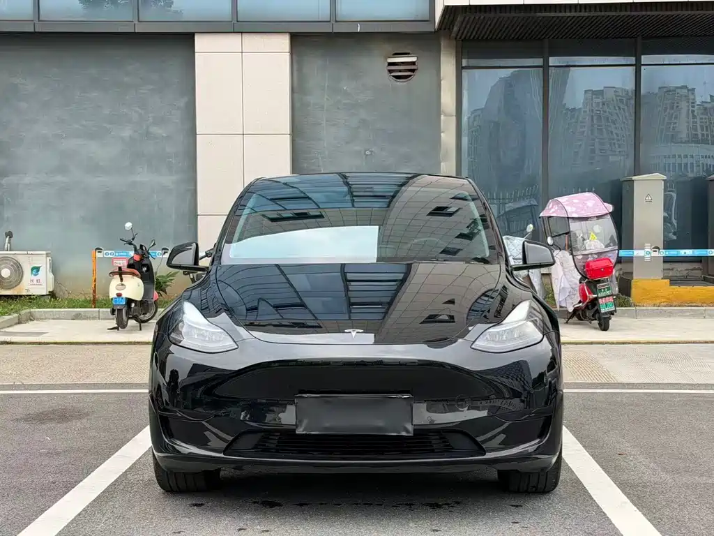Tesla Model Y — миниатюра 2