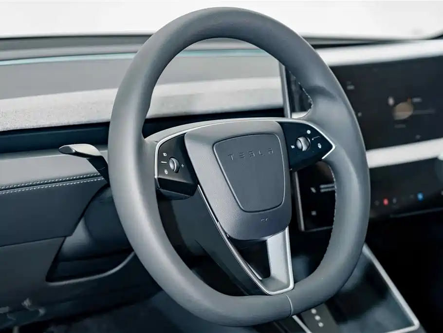 Tesla Model Y — миниатюра 10
