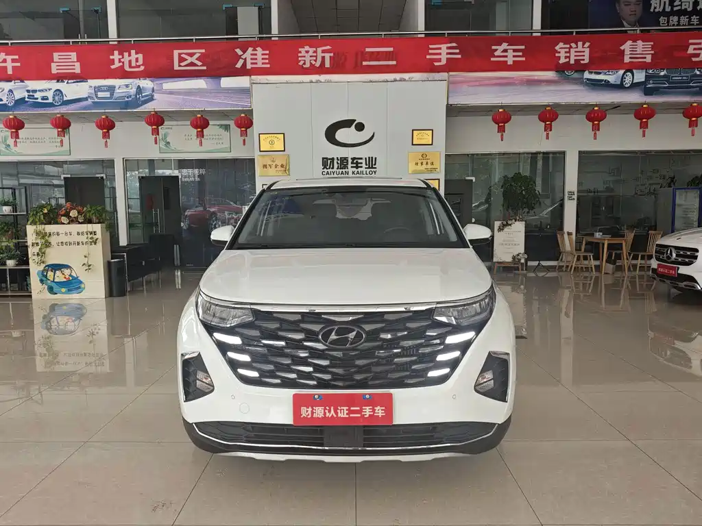 Hyundai Custo — миниатюра 2