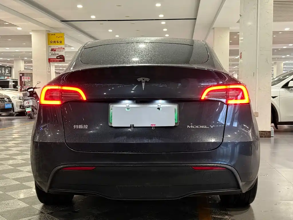 Tesla Model Y — миниатюра 5