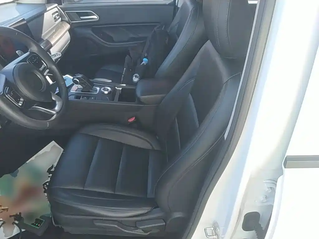 Great Wall Pao — миниатюра 15