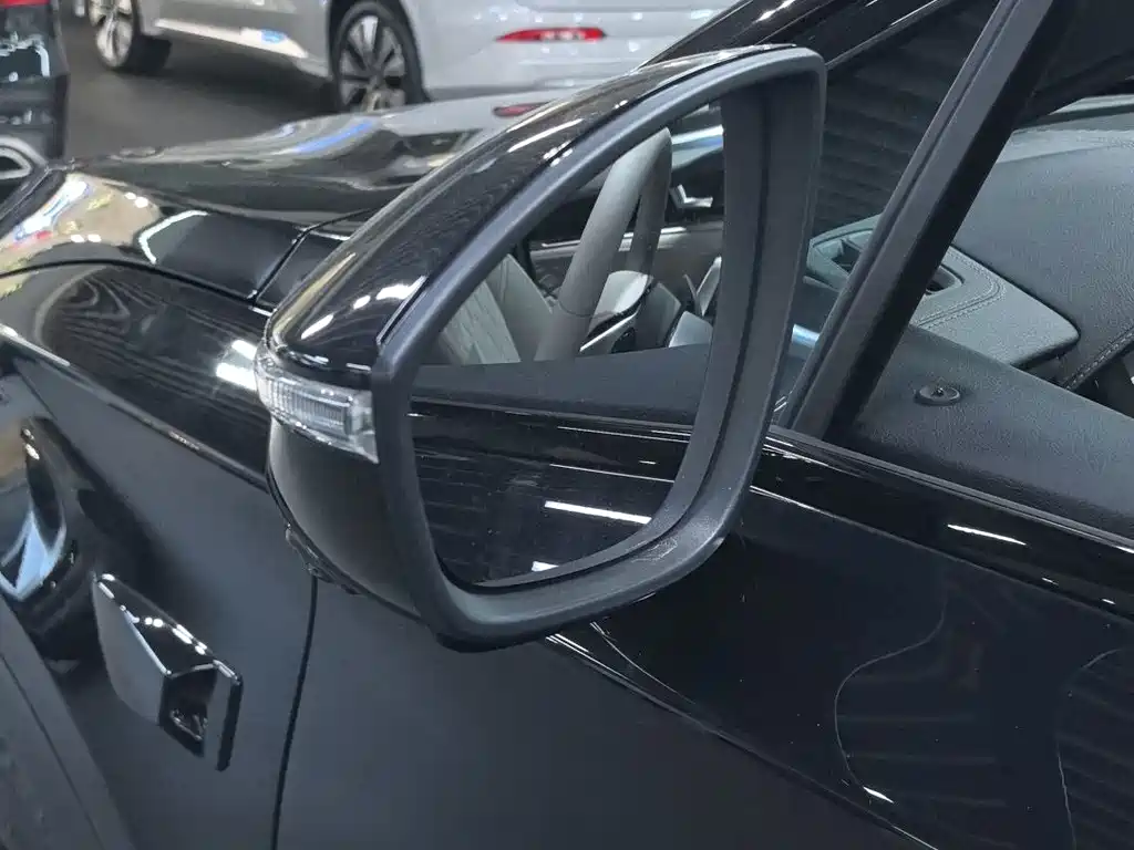 BYD Tang New Energy — миниатюра 12