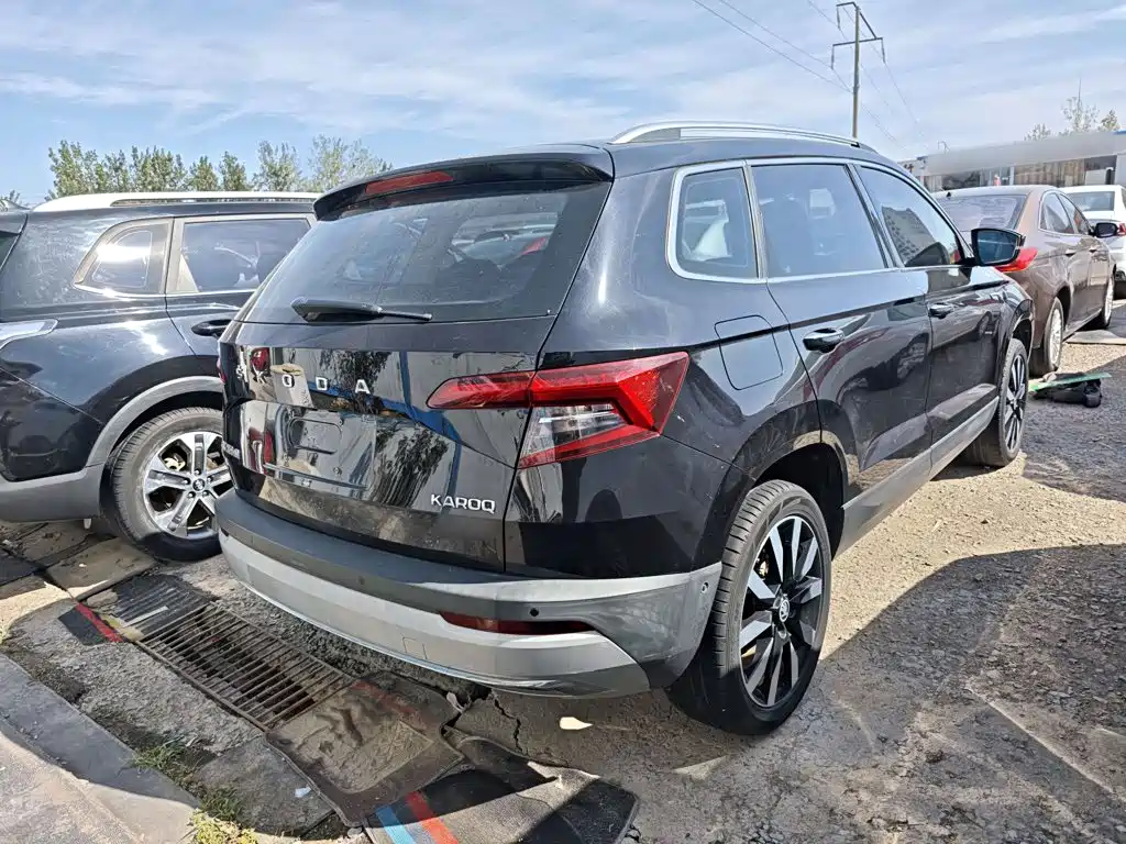 Skoda Karoq — миниатюра 7