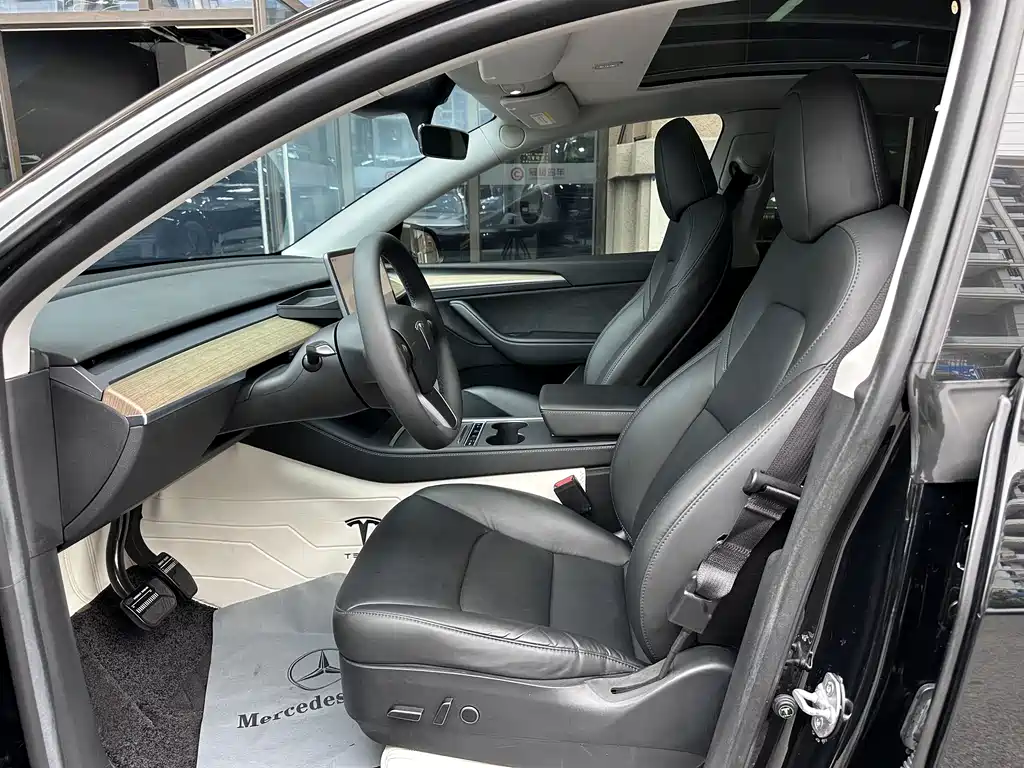 Tesla Model Y — миниатюра 8