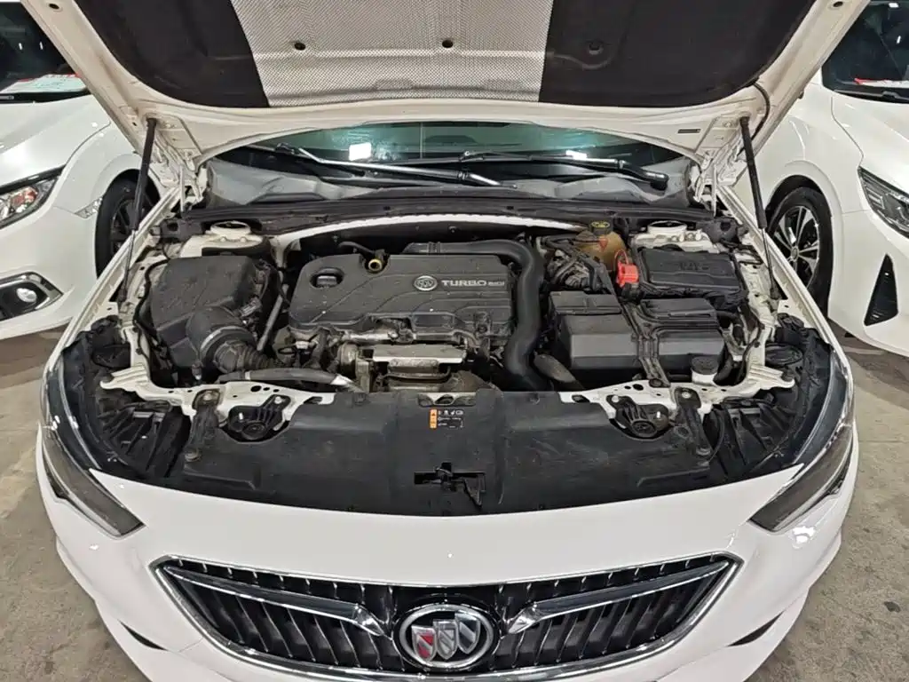 Buick Regal — миниатюра 20