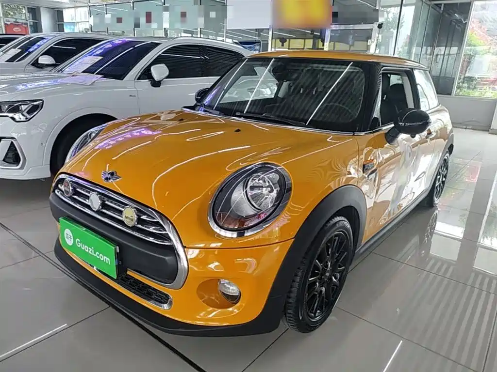 Mini Mini 2016