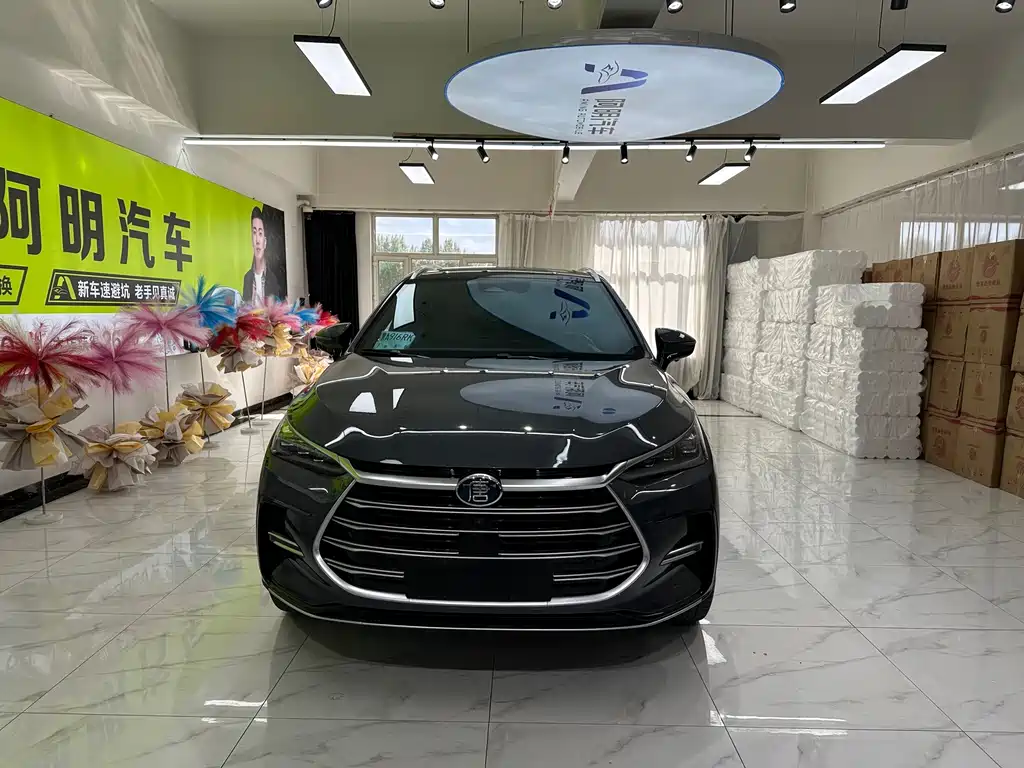 BYD Tang New Energy — миниатюра 2