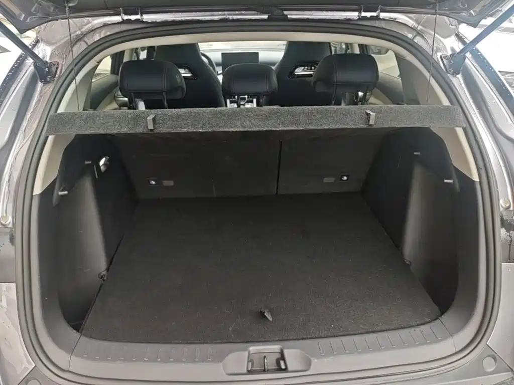BYD Yuan Plus — миниатюра 19