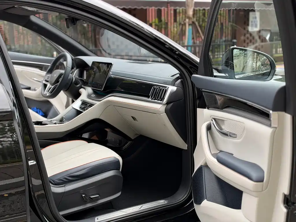 BYD PLUS New Energy — миниатюра 7