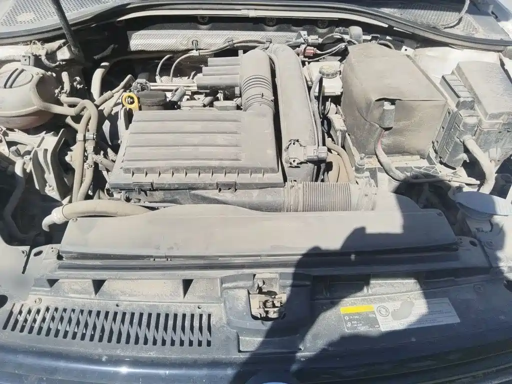 Volkswagen Lamando — миниатюра 16